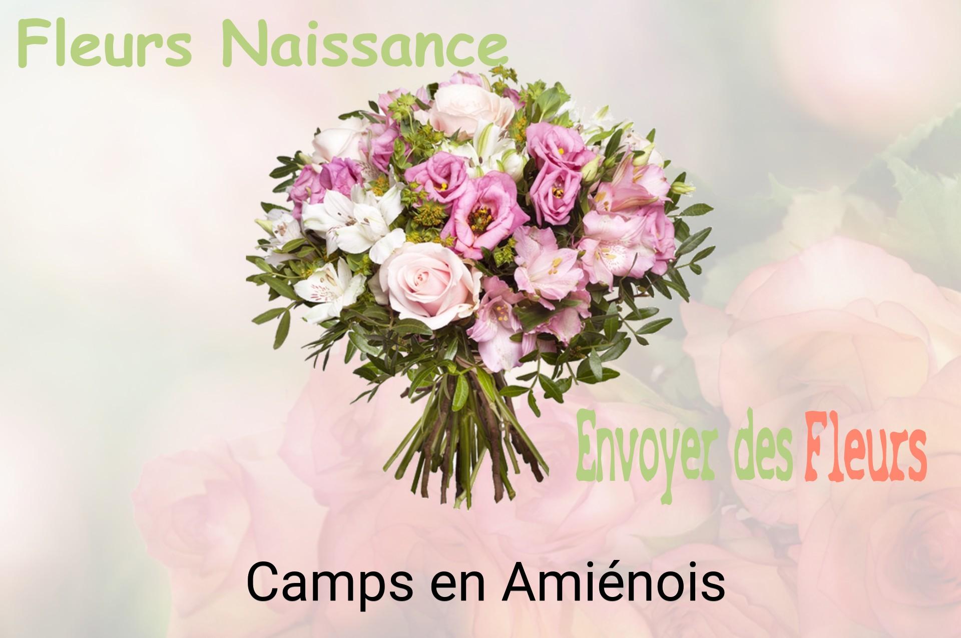 Bouquet de fleurs de naissance livré à Camps-en-Amiénois